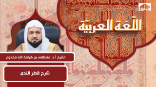 شرح متن قطر الندى وبل الصدى