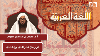 شرح متن قطر الندى وبل الصدى